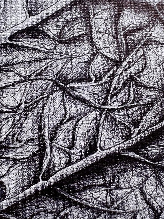 THE LIFE OF A LEAF