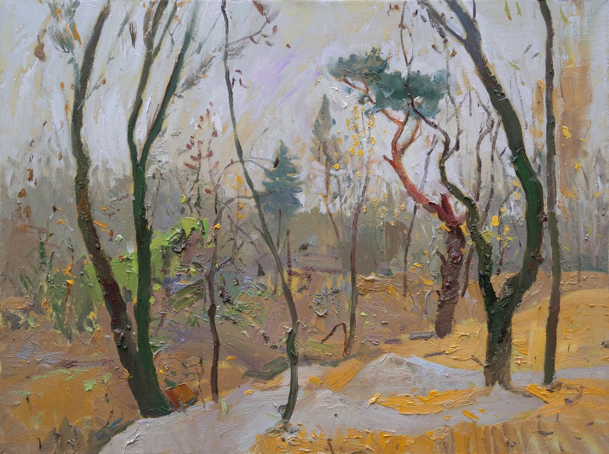 Impressionistic Landscape Oil Painting By Victor Onyshchenko, 31 X 24", Late Autumn, Original Artwork