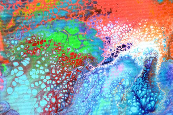 The Voice of a Dream 5