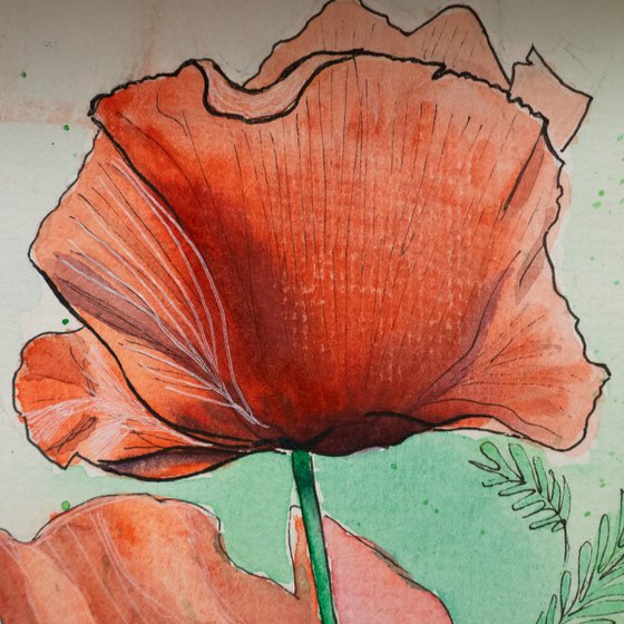 Red Poppies – Botanical