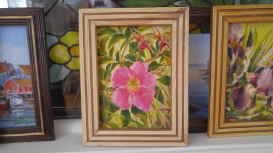 Wild rose (5x7x0.1'') (framed 8.7x7x0.5")