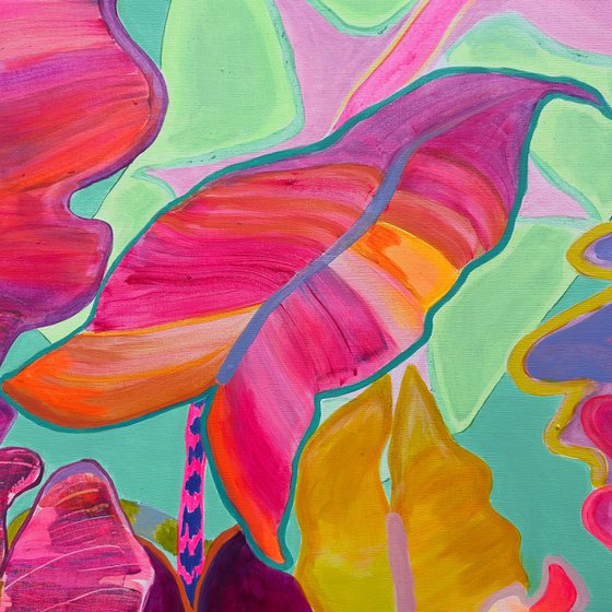 'Rainbow Alocasia'