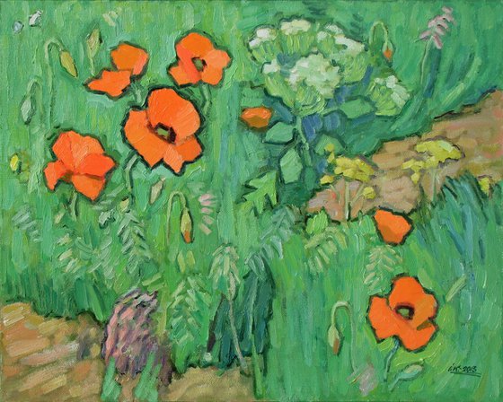 Poppies