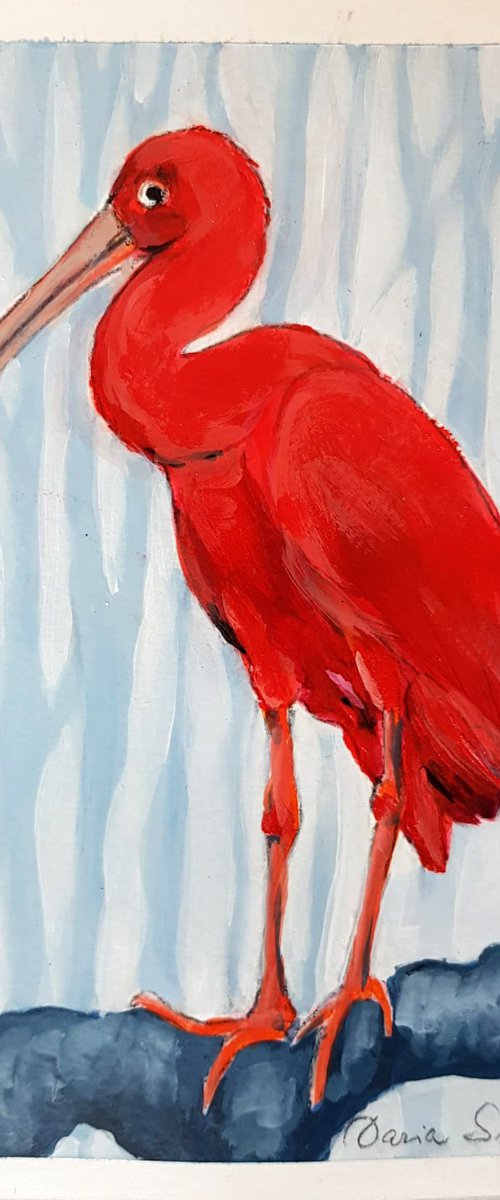 Scarlet Ibis in a Forest by Daria Startseva