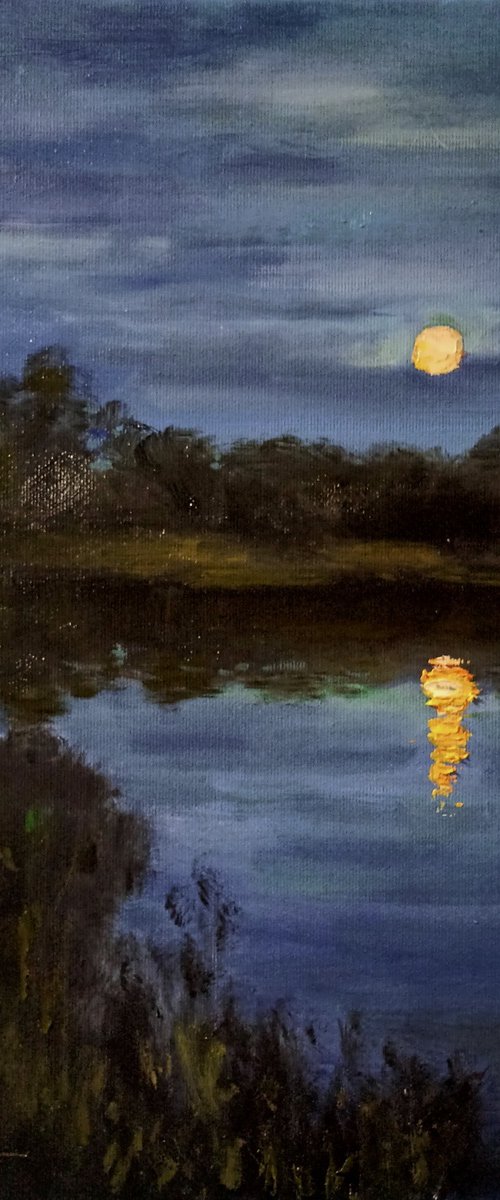 Night silence by Oleh Rak