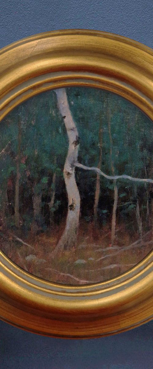 Portrait of a tree by Ayna Paisley