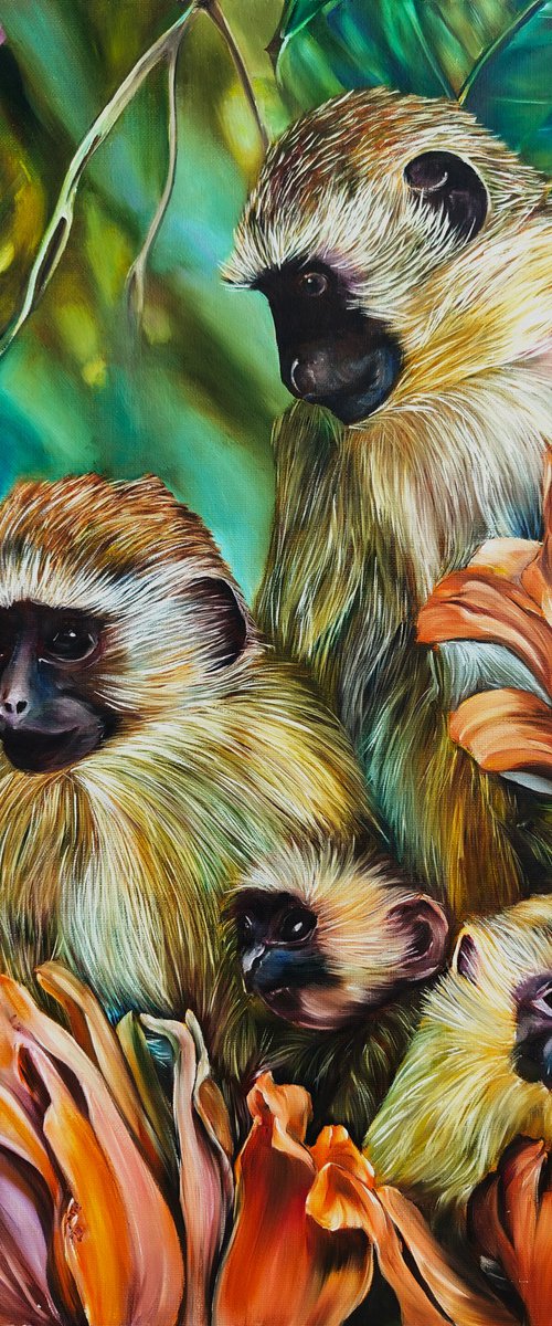 Monkeys by Olga Van Dine