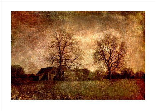 Old Barn and trees by Martin  Fry