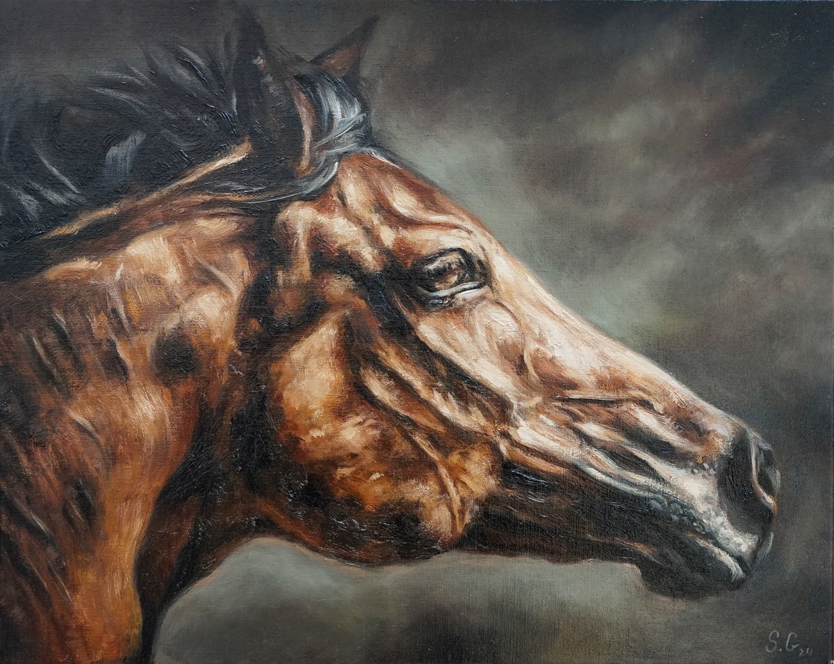 In Motion-Horse Portrait By Sabbi Gavrailov, 22 X 18, Artwork For Sale On Artfinder