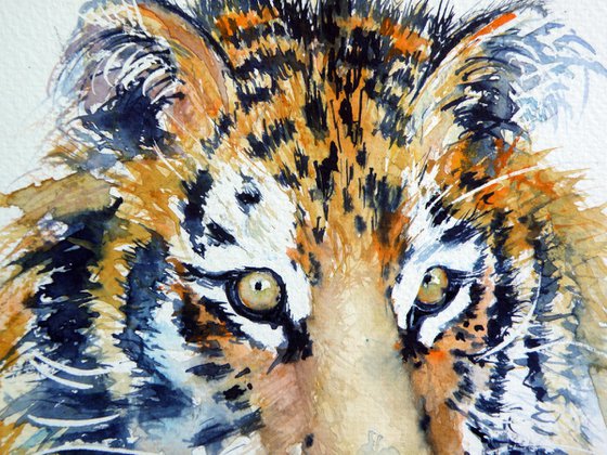 Tiger cub