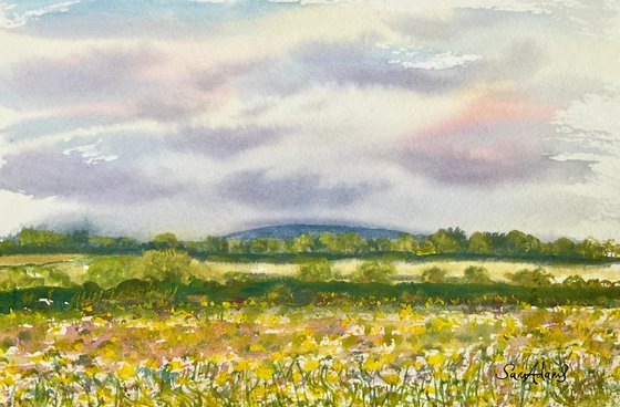In the buttercup meadow