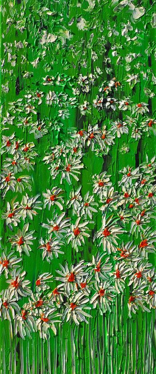Daisies In The Grass 1 by Daniel Urbaník