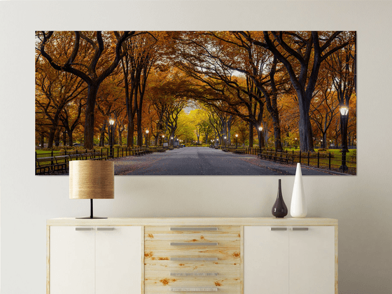 Autumnal Park