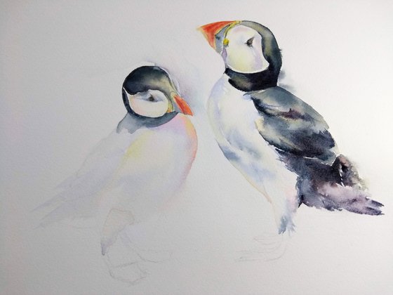 Puffins, original watercolour painting