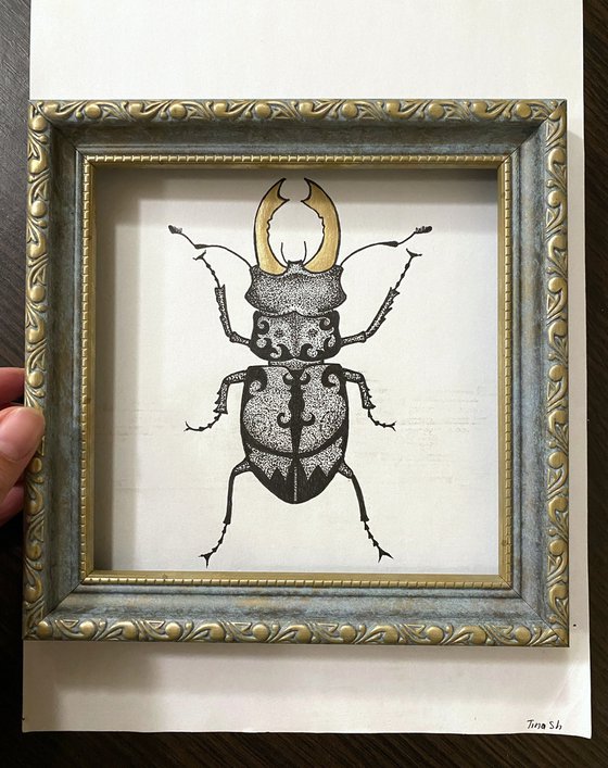 Beetle with golden horns