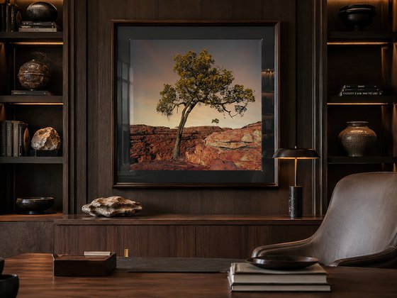 Rustic Canyon