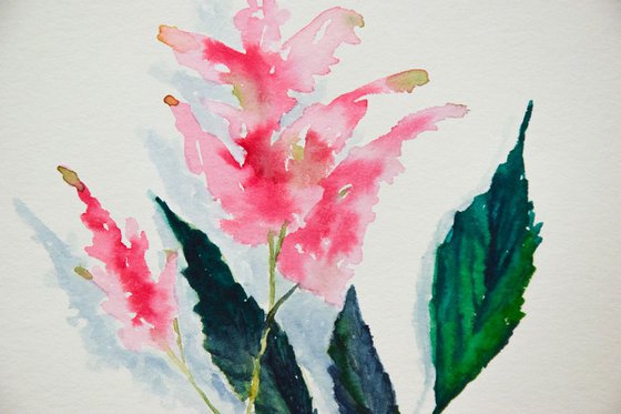 Botanical ORIGINAL watercolor painting, pink flower of mint, romantic gift for her