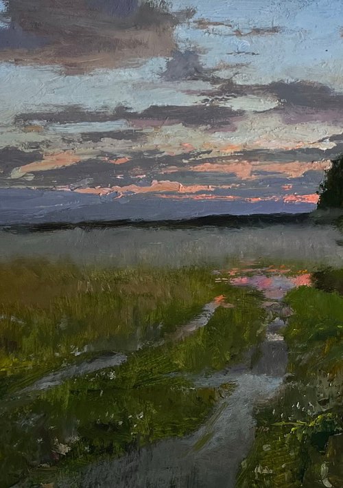 Wet meadow by Denys Gorodnychyi