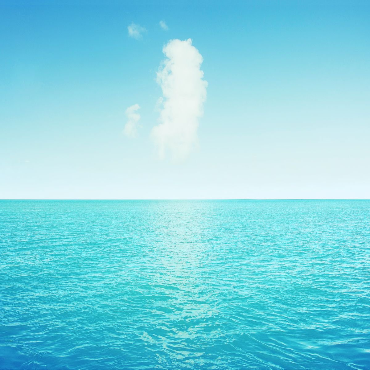 Photorealistic Landscape Photograph By Nadia Attura, 20 X 20", Key Biscayne, Original Artwork