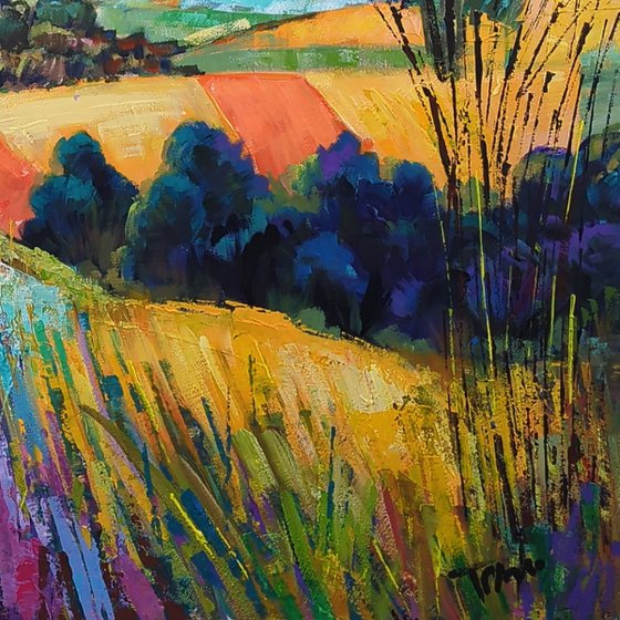 Sunlit Rolling Hills