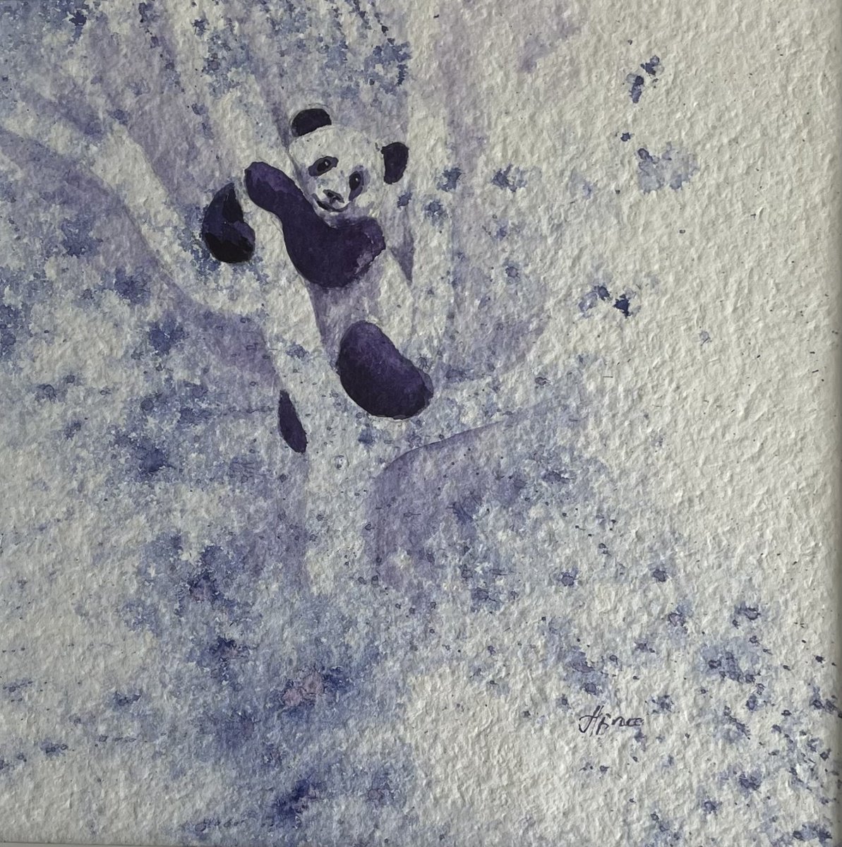 Panda Perch 6 by Hannah Bruce