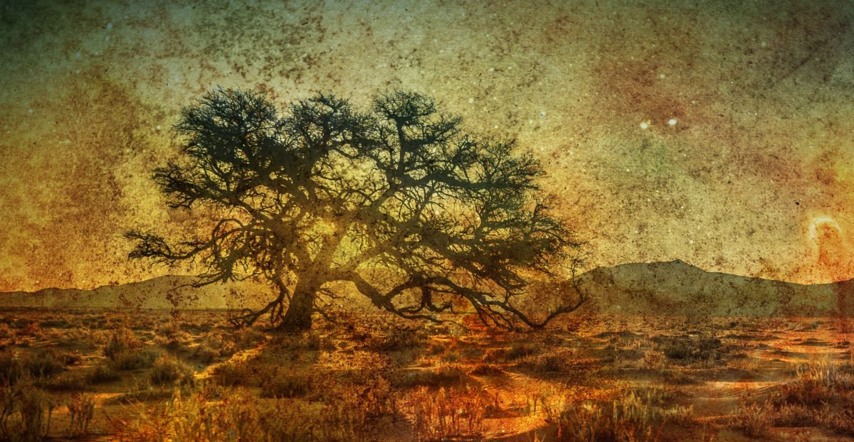 Illustrative Landscape Photograph By Srdjan Jevtic, 39 X 20", Lost And Lonely, Original Artwork