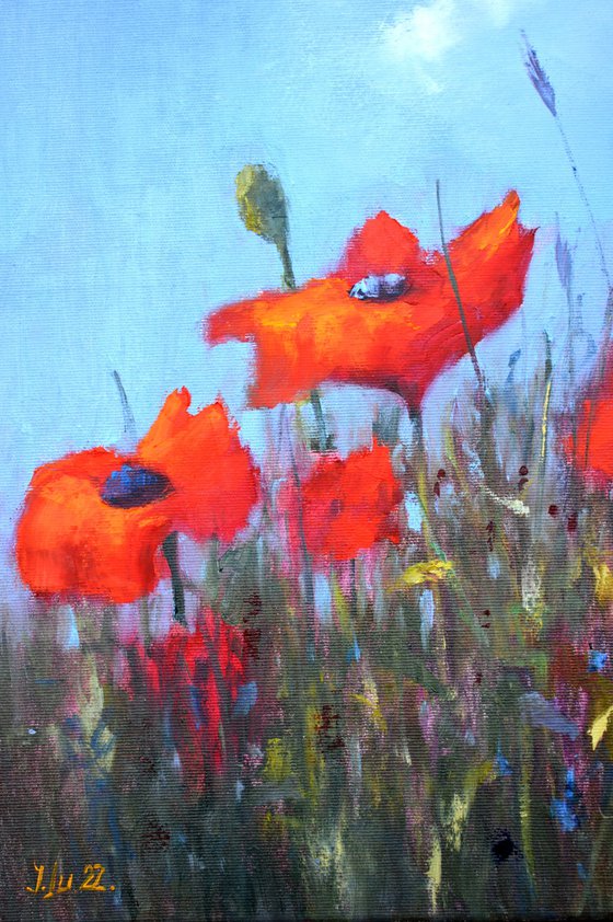 Scarlet Poppies