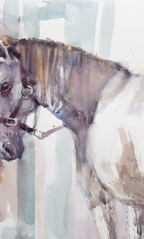 Horse  in the barn by Goran Žigolić Watercolors