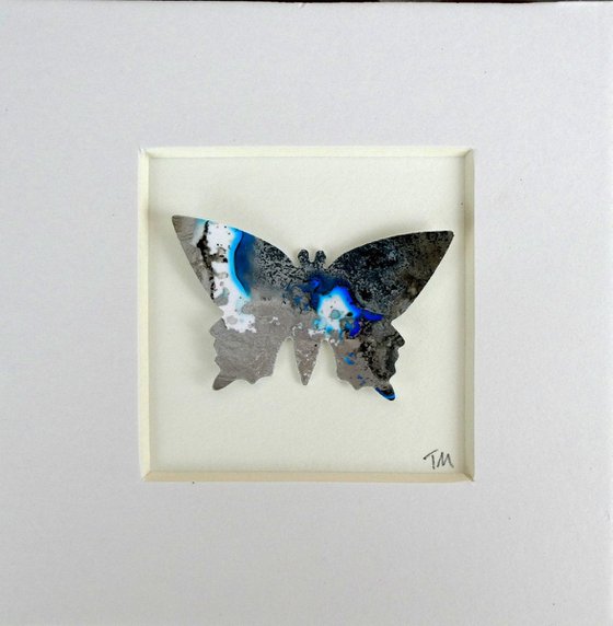 One Silver and Blue Butterfly