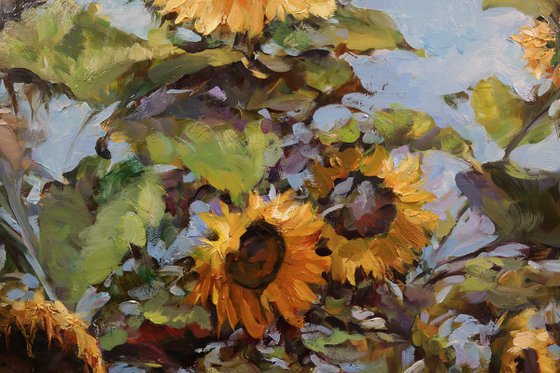 "Sunny Chord"
