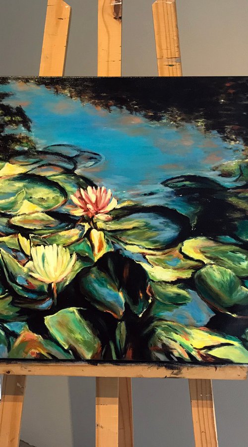 "Waterlilies" by Fabian Bertona