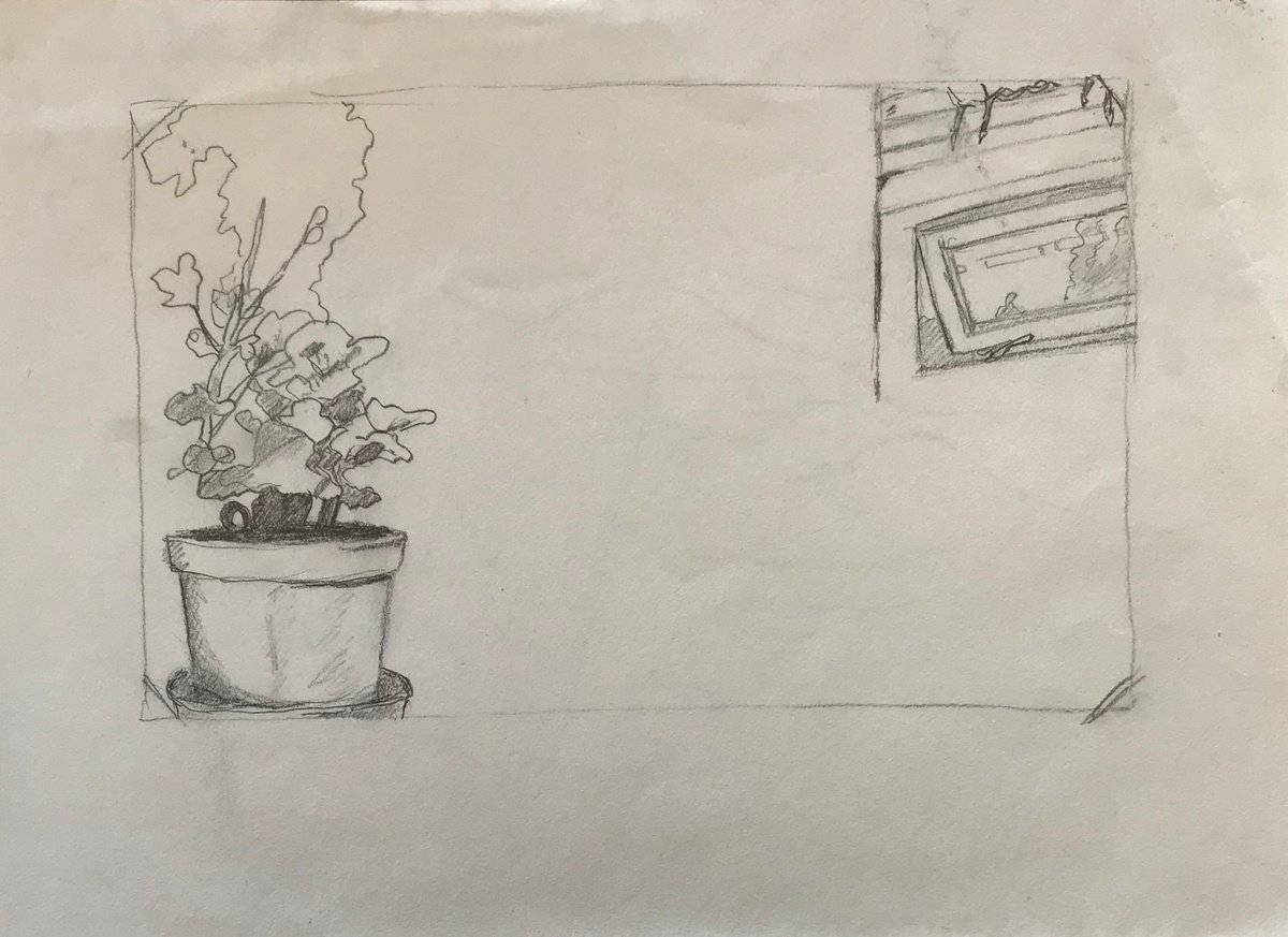 Plant and Window - sketchbook by Kitty Cooper