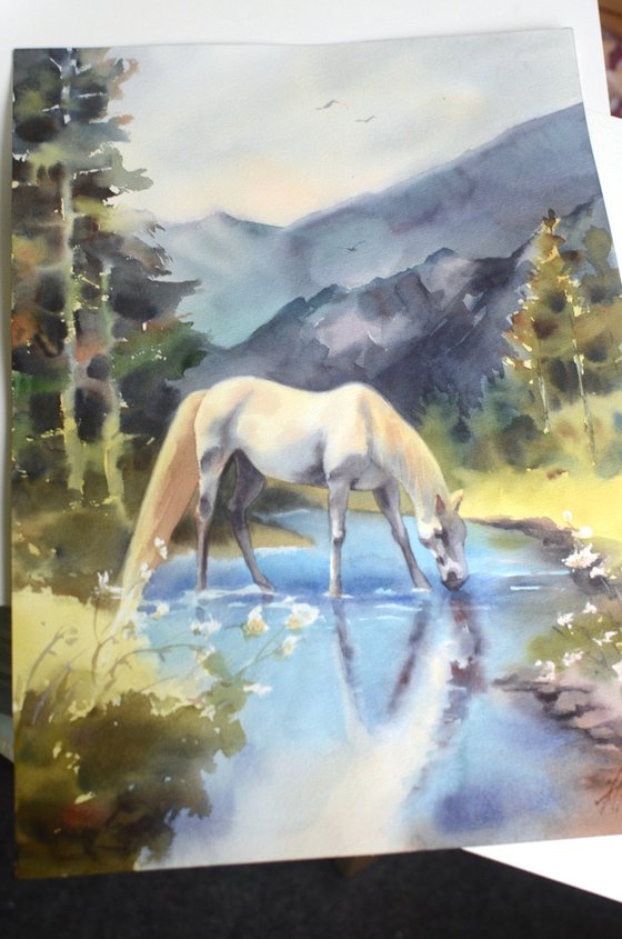White Horse / Mountain Stream