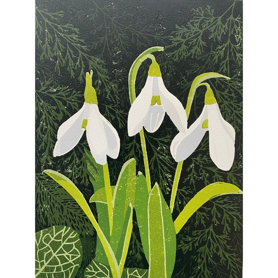 Snowdrops