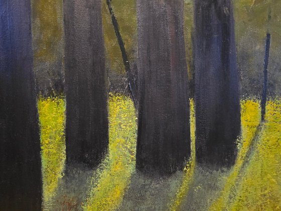 Light Within the Quiet