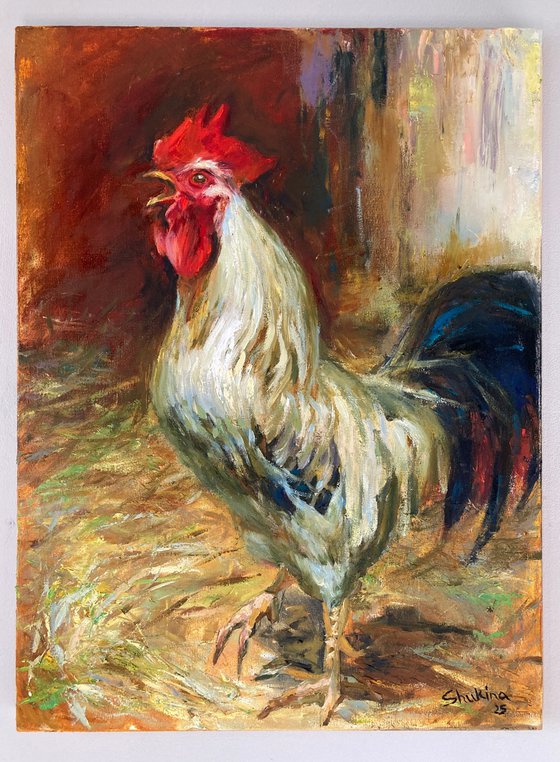 Rooster. Guard of the yard