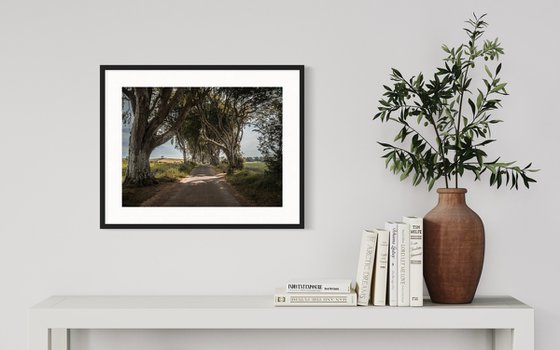 THE  FANTASTIC DARK HEDGES #4