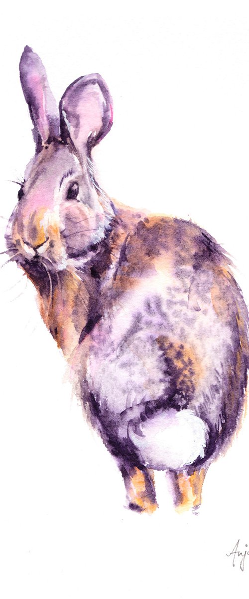 Rabbit painting, original watercolour painting, Wildlife Wall art, Limited palette, Desert cottontail by Anjana Cawdell