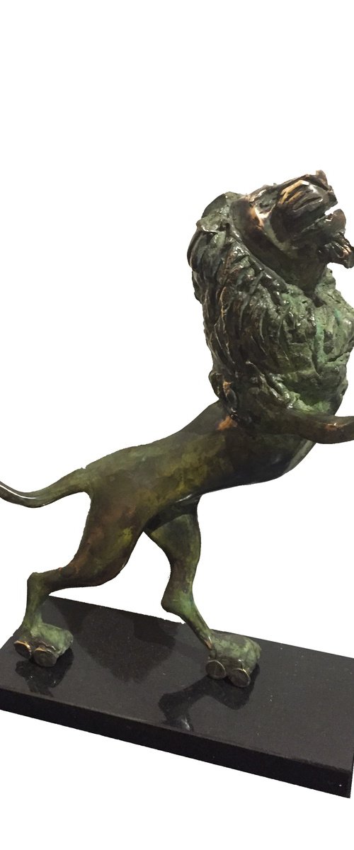 Lion on scates - Majesty of motion by Toth Kristof