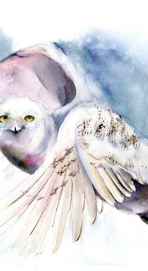 Flying Polar Owl by Olga Tchefranov (Shefranov)