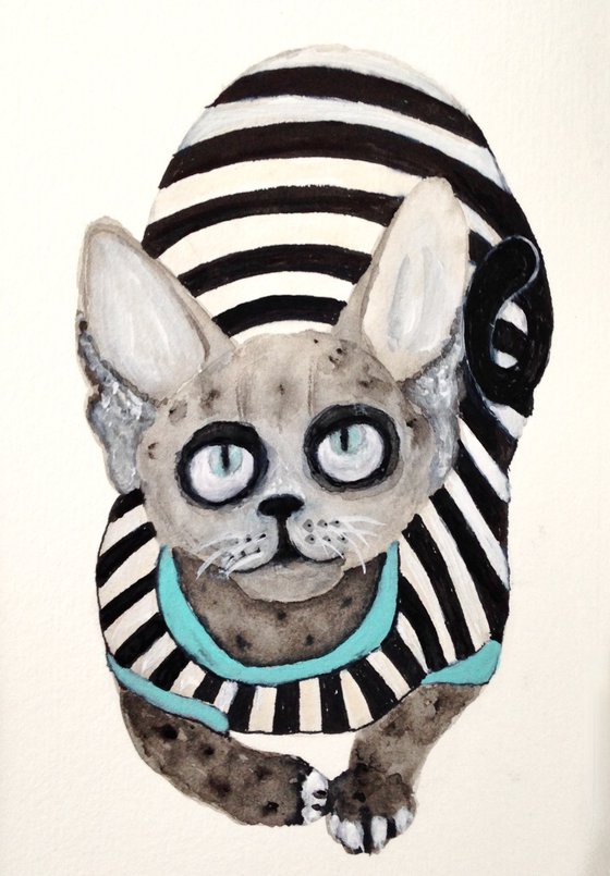 Sphynx cat with a striped suit