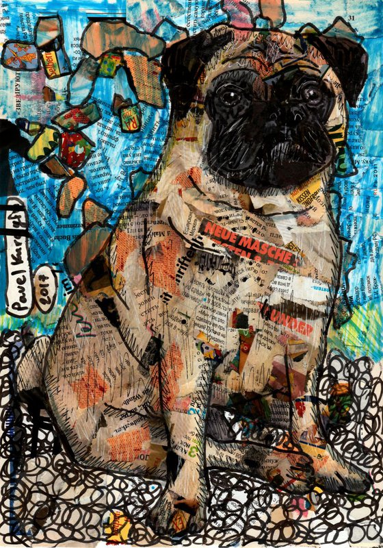 Famous Pug