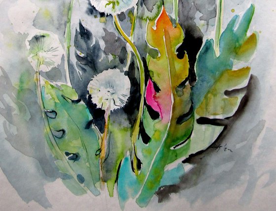 Old dandelions II