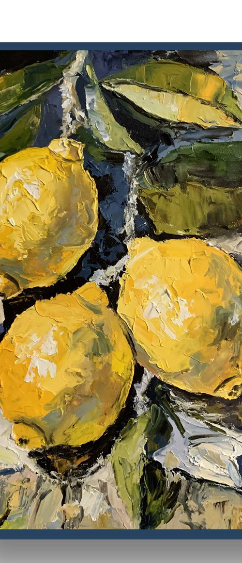 Sunlit Lemons. by Vita Schagen