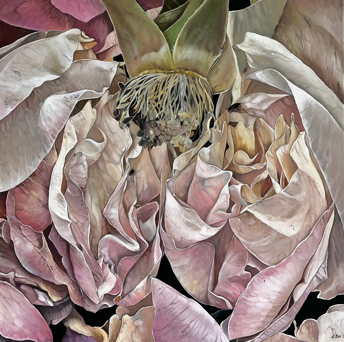 Photorealistic Botanical Oil Painting By Myroslava Denysyuk, 20 X 20", - Magic Petals - ?, Original Artwork