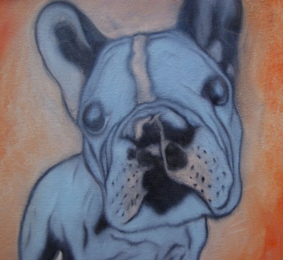 Sky Blue Pooch ( oil on paper ) Free Shipping