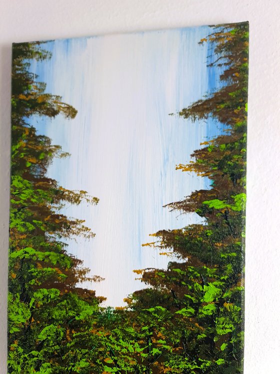 Nice Forest 3