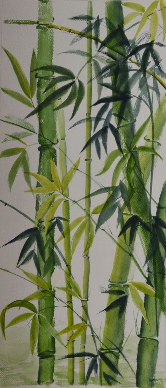 Bamboo part 2
