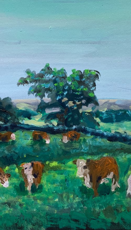 Highland Cows by Ryan  Louder