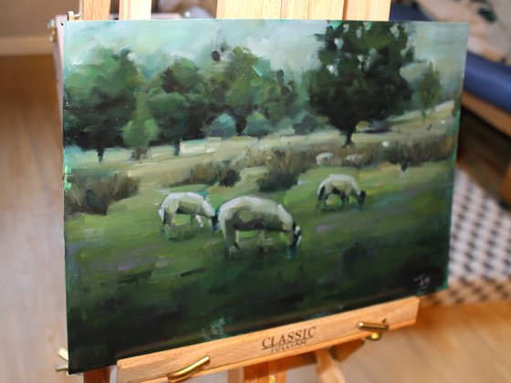 A Flock At Rest
